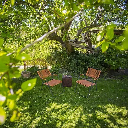 Casina Meme Pescia
