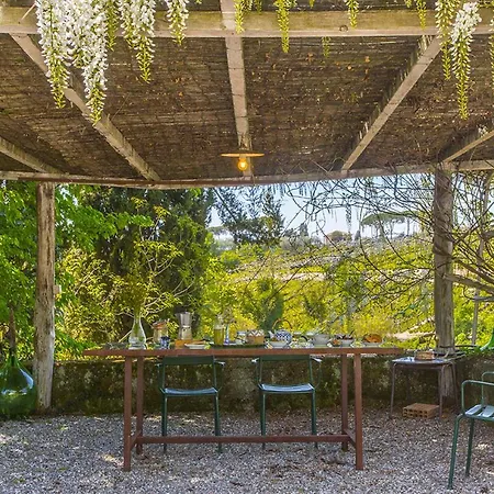 Casina Meme * Pescia
